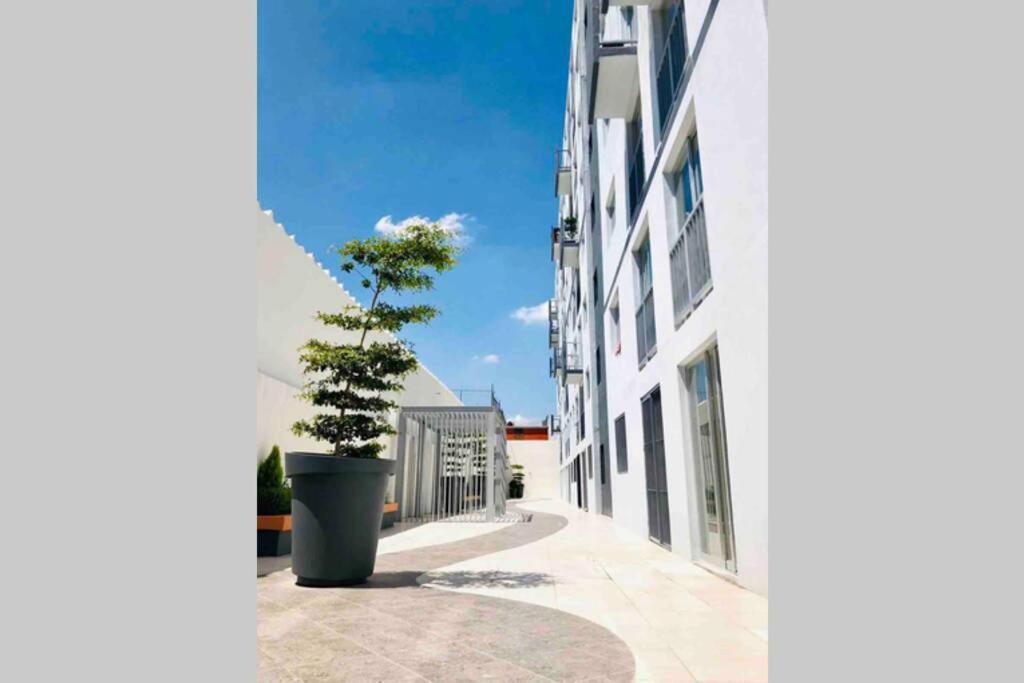 Departamento *Mundo Viajero* Guadalajaraアパートメント エクステリア 写真